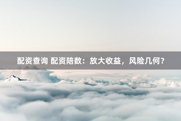 配资查询 配资陪数：放大收益，风险几何？