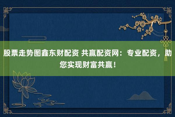 股票走势图鑫东财配资 共赢配资网：专业配资，助您实现财富共赢！
