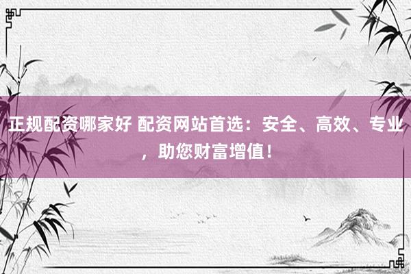 正规配资哪家好 配资网站首选：安全、高效、专业，助您财富增值！