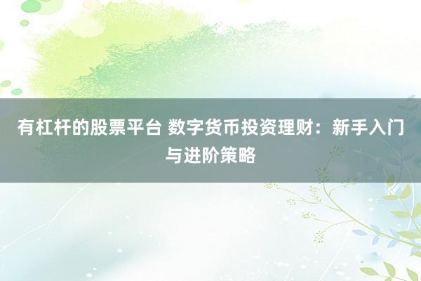 有杠杆的股票平台 数字货币投资理财：新手入门与进阶策略
