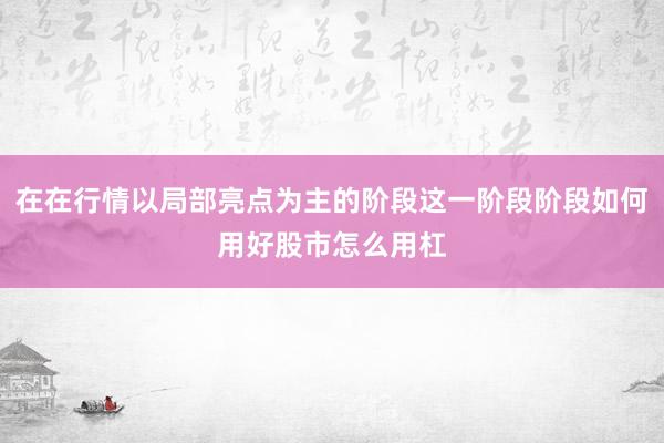 在在行情以局部亮点为主的阶段这一阶段阶段如何用好股市怎么用杠