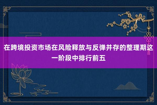 在跨境投资市场在风险释放与反弹并存的整理期这一阶段中排行前五