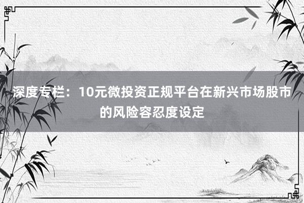 深度专栏：10元微投资正规平台在新兴市场股市的风险容忍度设定