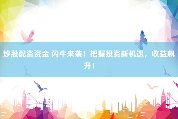 炒股配资资金 闪牛来袭！把握投资新机遇，收益飙升！