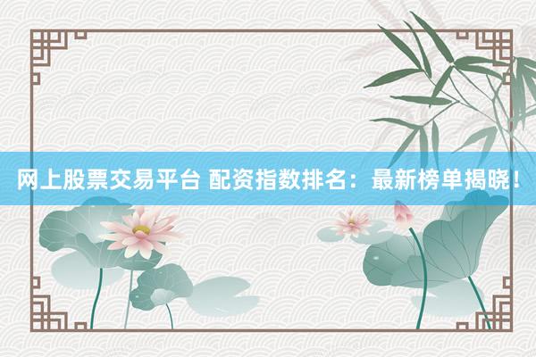 网上股票交易平台 配资指数排名：最新榜单揭晓！