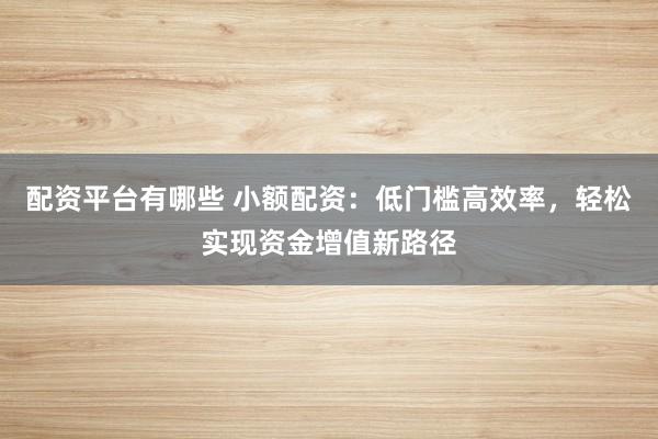 配资平台有哪些 小额配资：低门槛高效率，轻松实现资金增值新路径